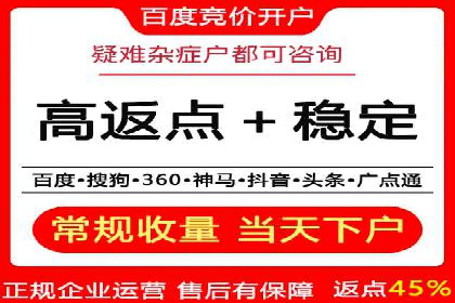 网络营销实战：成功竞价推广案例分析